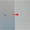フロントガラス飛石修理