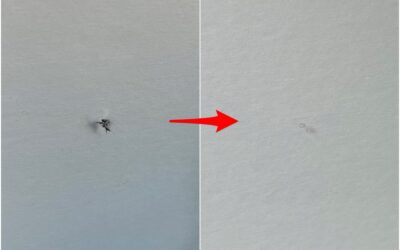 フロントガラス飛石修理