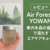 フォレスト ヨワン